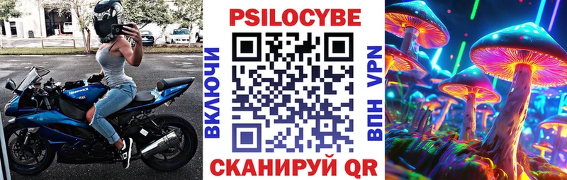 Галлюциногенные грибы Psilocybe  закладка  omg как войти  Данков 